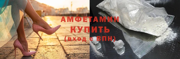 индика Сатка