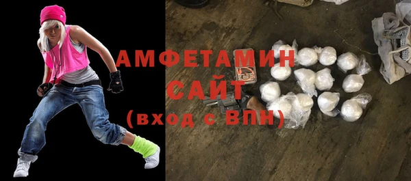 индика Сатка