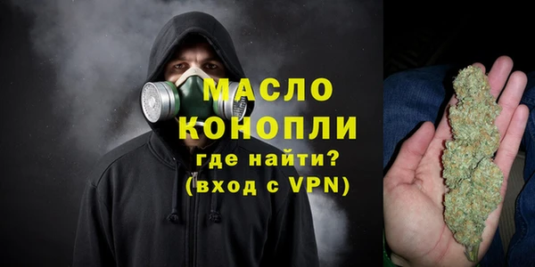 индика Сатка