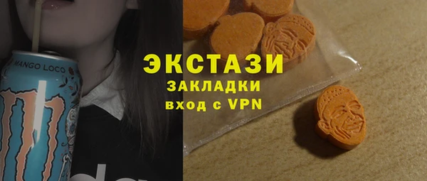 индика Сатка