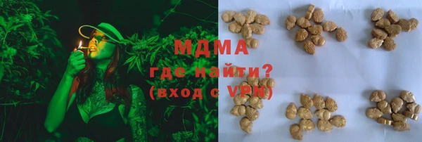 индика Сатка