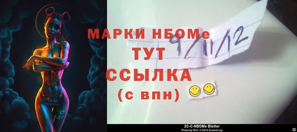 индика Сатка
