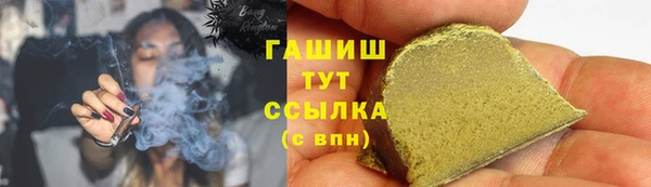 индика Сатка