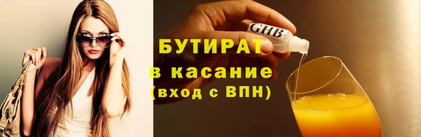 индика Сатка