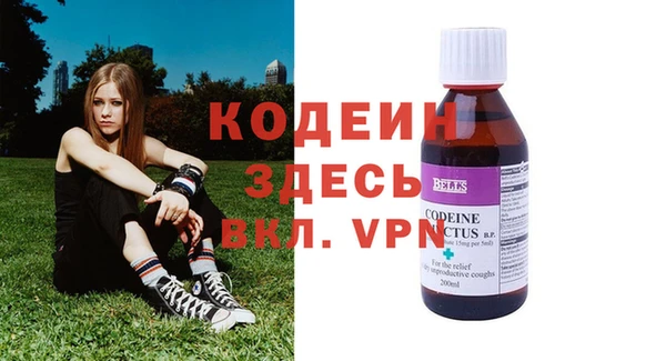 индика Сатка