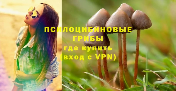 МДПВ Саяногорск