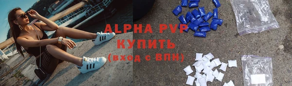 индика Сатка