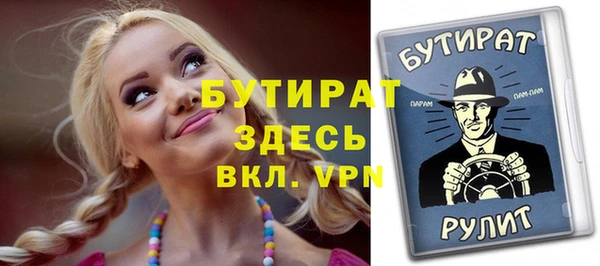 индика Сатка