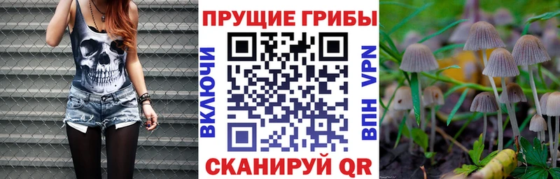 Псилоцибиновые грибы Magic Shrooms Пойковский